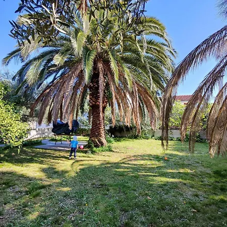 Apartment Dajana Orebić